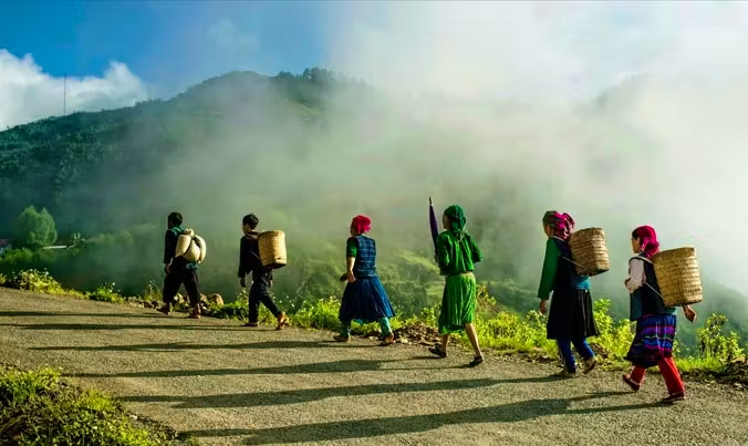 Kho Báu Trà & Câu Chuyện Bản Địa (5)